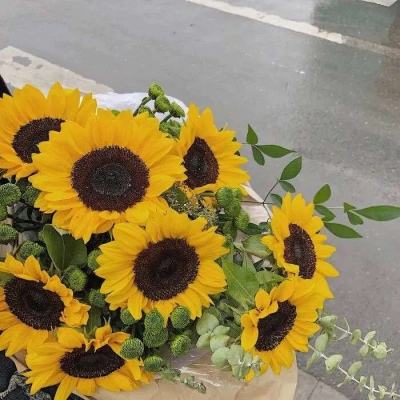 开云·kaiyun体育app下载