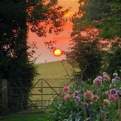 bet体育365投注官网