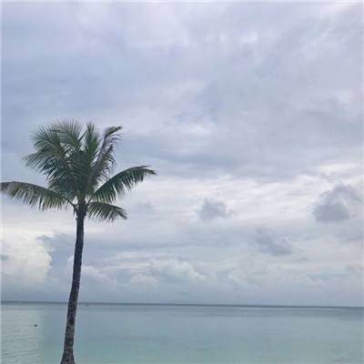 二人麻将手机app下载