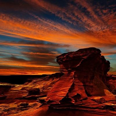 天空体育中文版