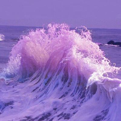 云开平台APP官方全站APP入口