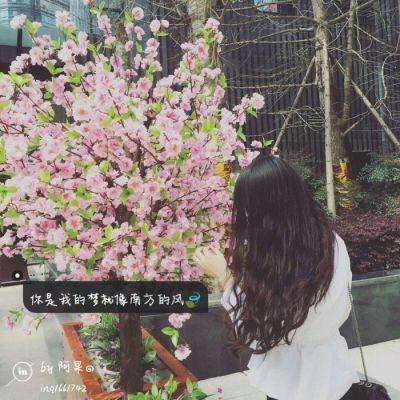 百姓官方彩票网站